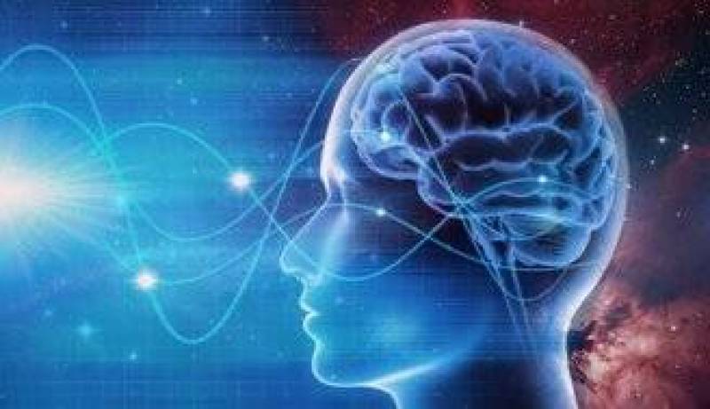 آیا انسان واقعاً فقط از ۱۰ درصد مغز خود استفاده می‌کند؟